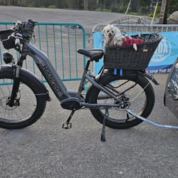 Rattan Bike Basket