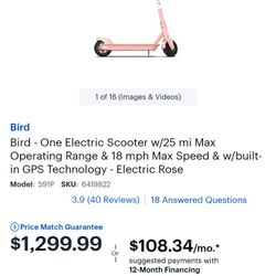 Bird Electric Scooter