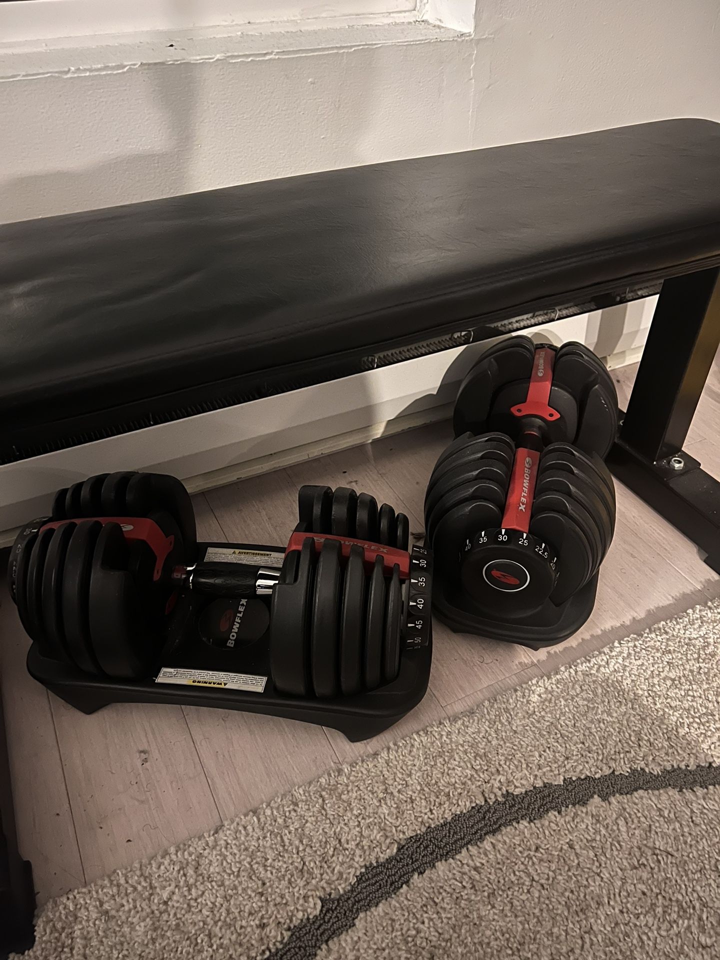 Bowflex Dumbbells