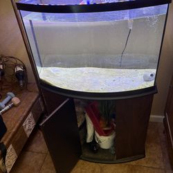 Fish Tank 