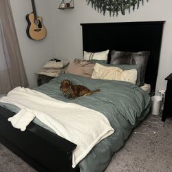 Bed Frame And Box Spring (Full)