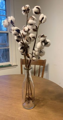 Cotton stems