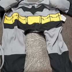 Batman Costume For A Dog