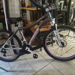 GENESIS Shimano Whirlwind  7 Speed Bike