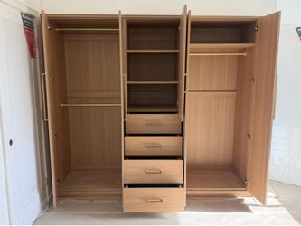 Custom Closet Organizer