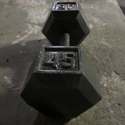 45 lb Single Hex Shaped Weight