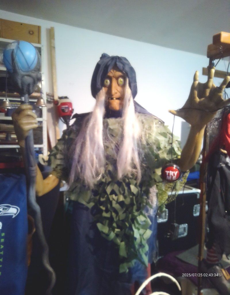 Halloween Seahag Witch