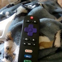 Roku  Remote Wit The Roku