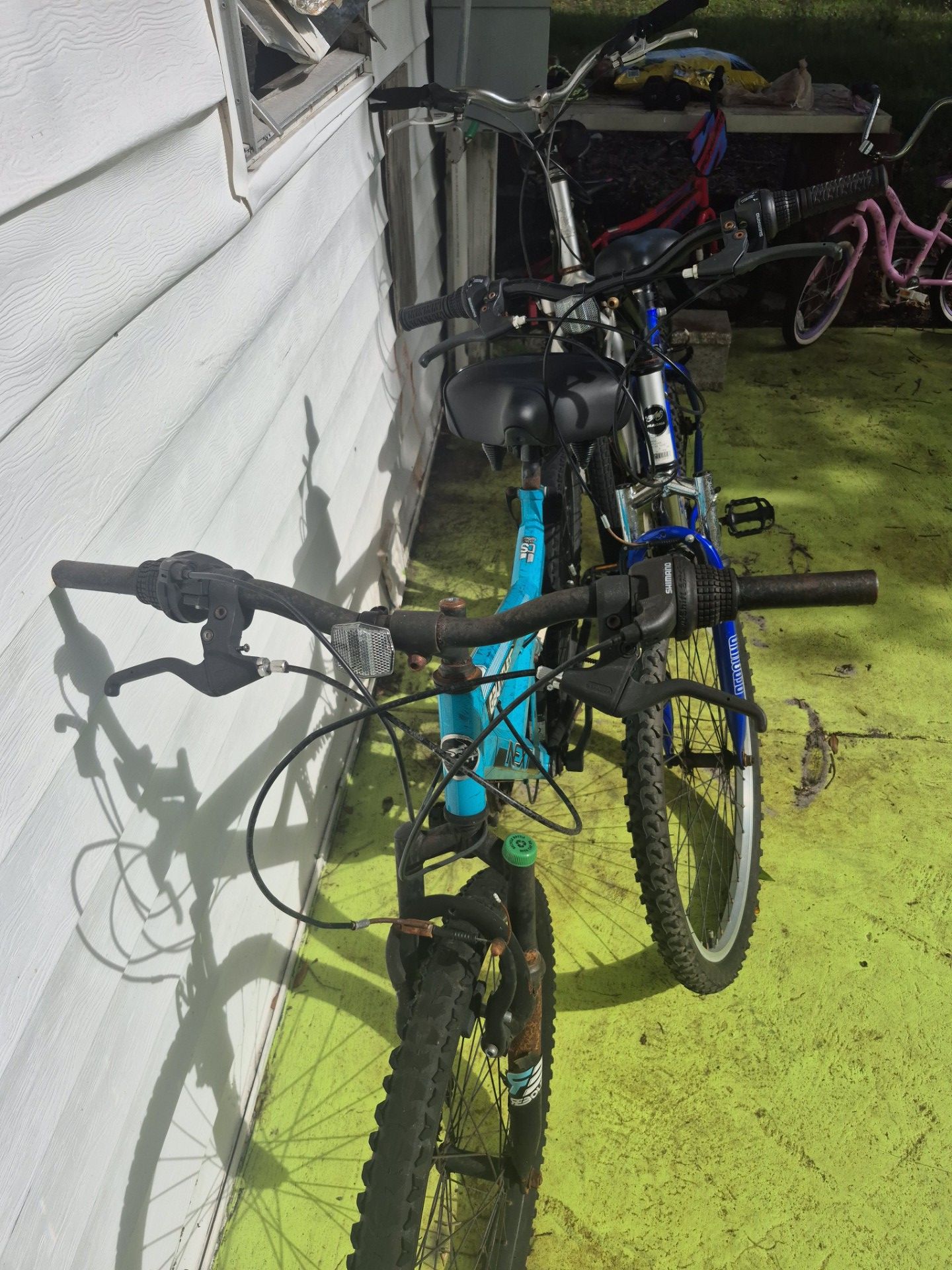 3 adults bikes