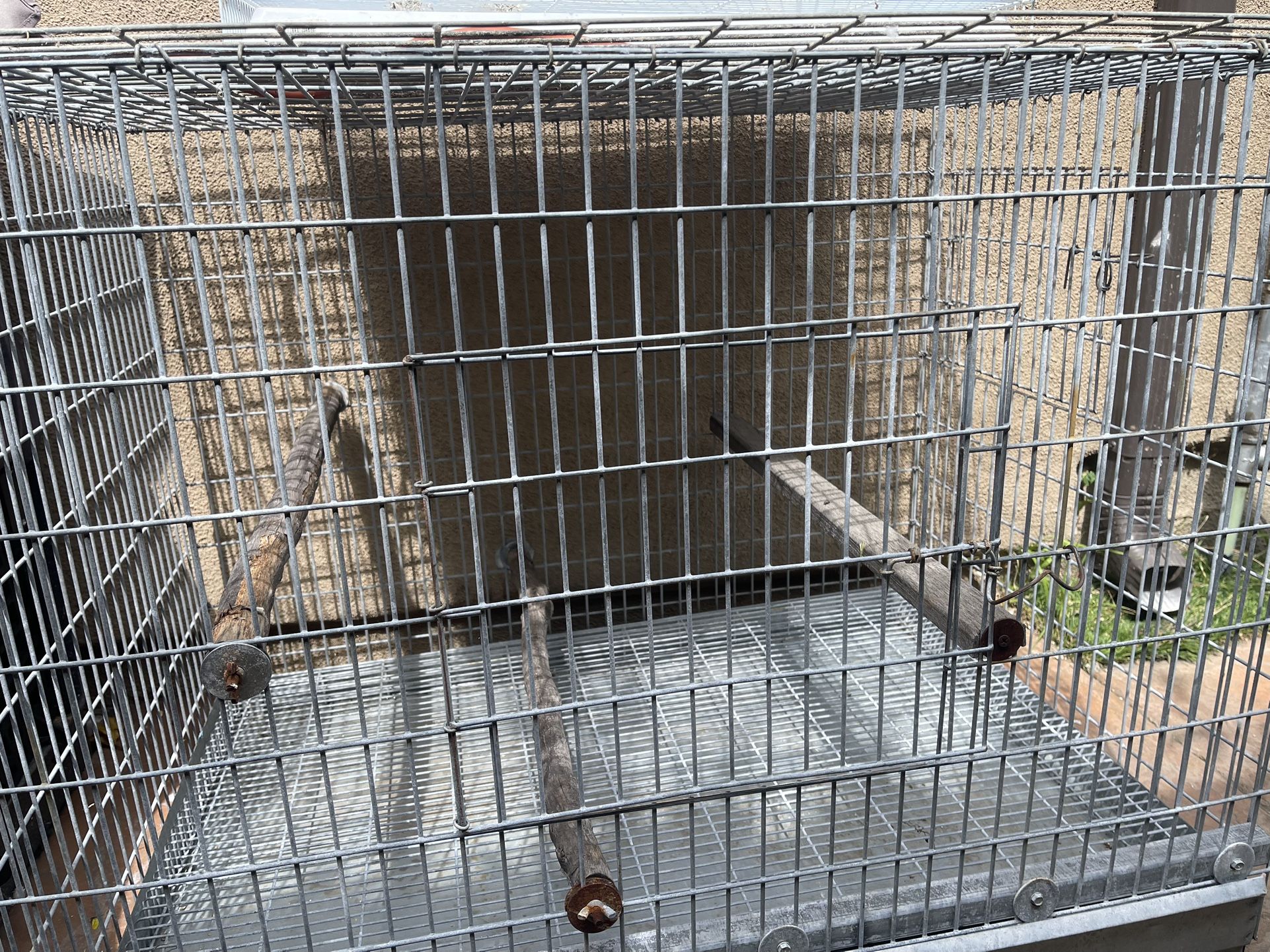 Bird Cage