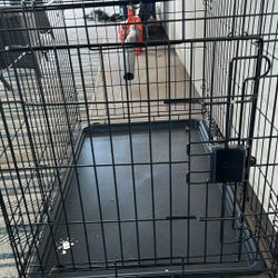 Dog Crate  measures 36x10.5x24.5