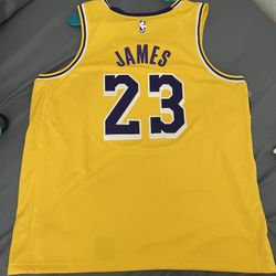 LeBron James Jersey 