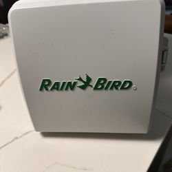 Rain bird 