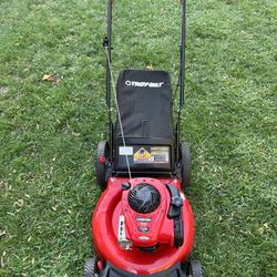 briggs and stratton Push Lawnmower
