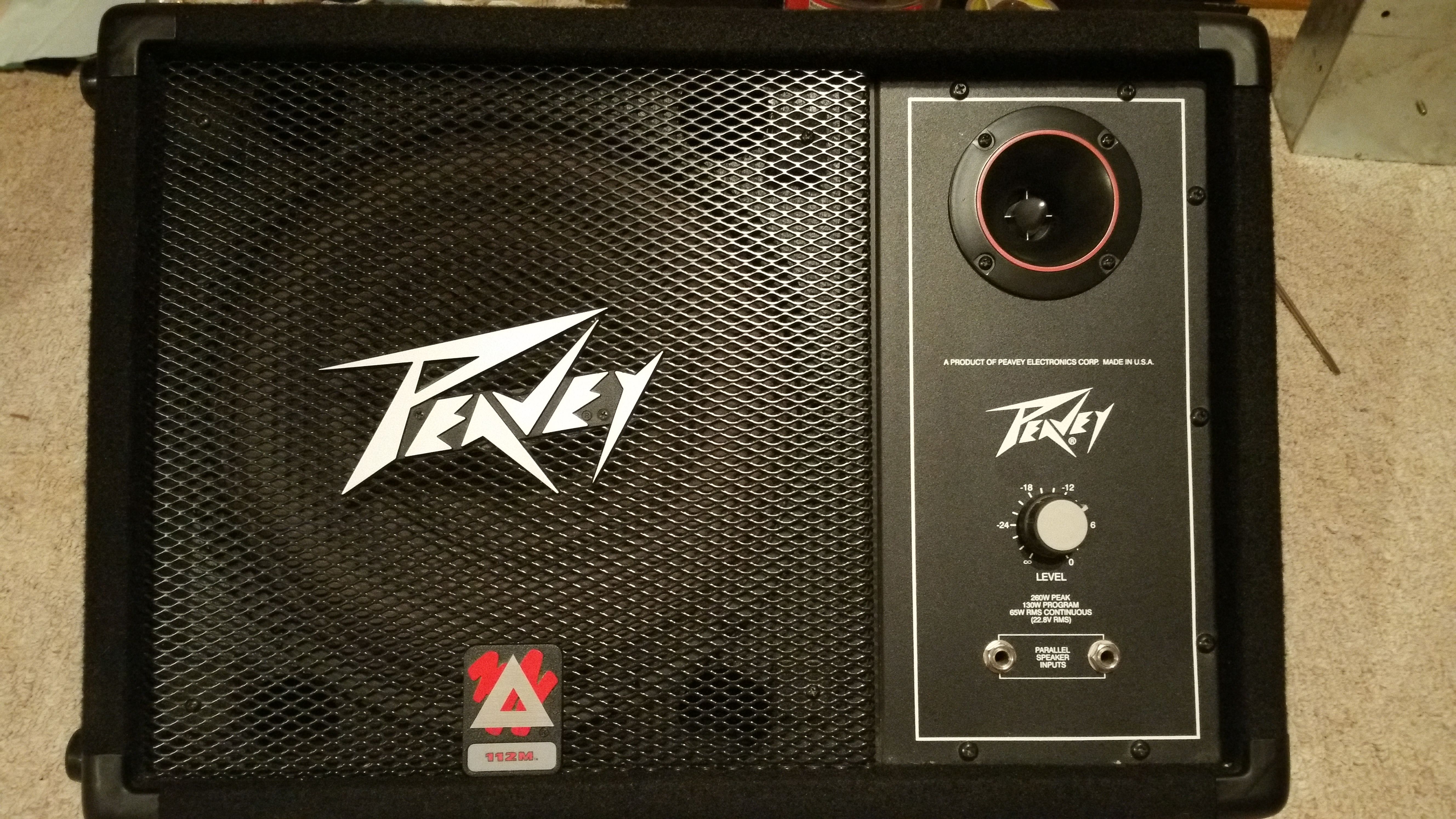 Peavey 112M Floor Monitor