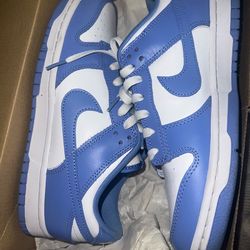 Polar blue Nike dunks