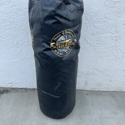 Everlast Punching Bag 60lbs