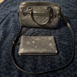 Coach Purse And Wallet