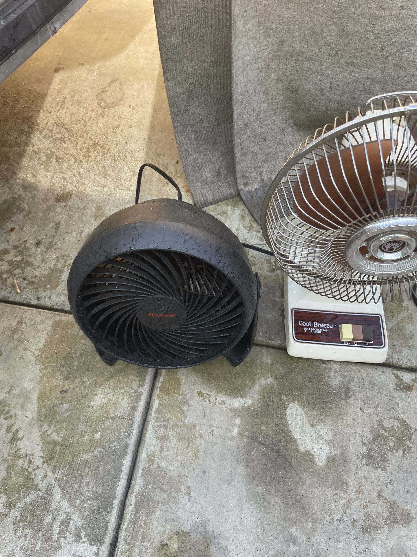 Electric fans 10 dollars each