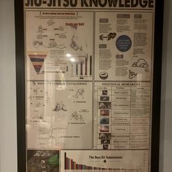 Framed Brazilian Jiu Jitsu Poster
