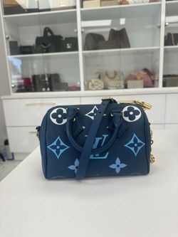 Louis Vuitton Handbag Bandoulier