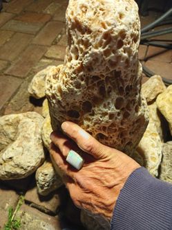 Honeycomb agate for sale $3 a pound you pick up
