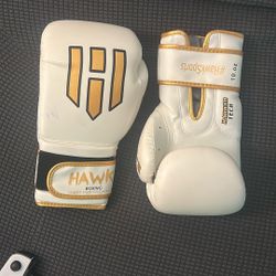 Boxing Gloves (never Worn)