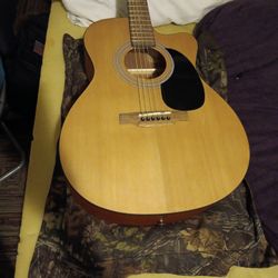Laurel Canyon La-100 Acoustic Guitar 