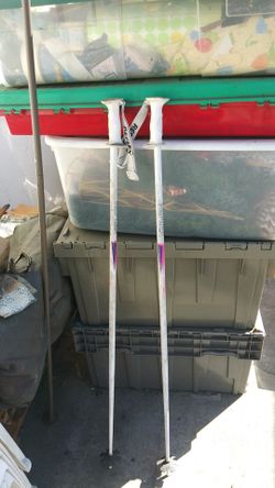 Ski pole
