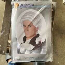 Wig Colonial Man