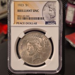 SILVER PEACE DOLLAR!
