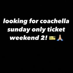 Coachella Weekend 2