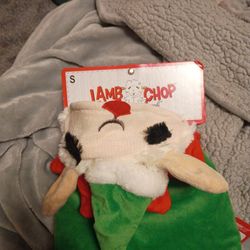 Lamb Chop Pet Appeal S Holidays