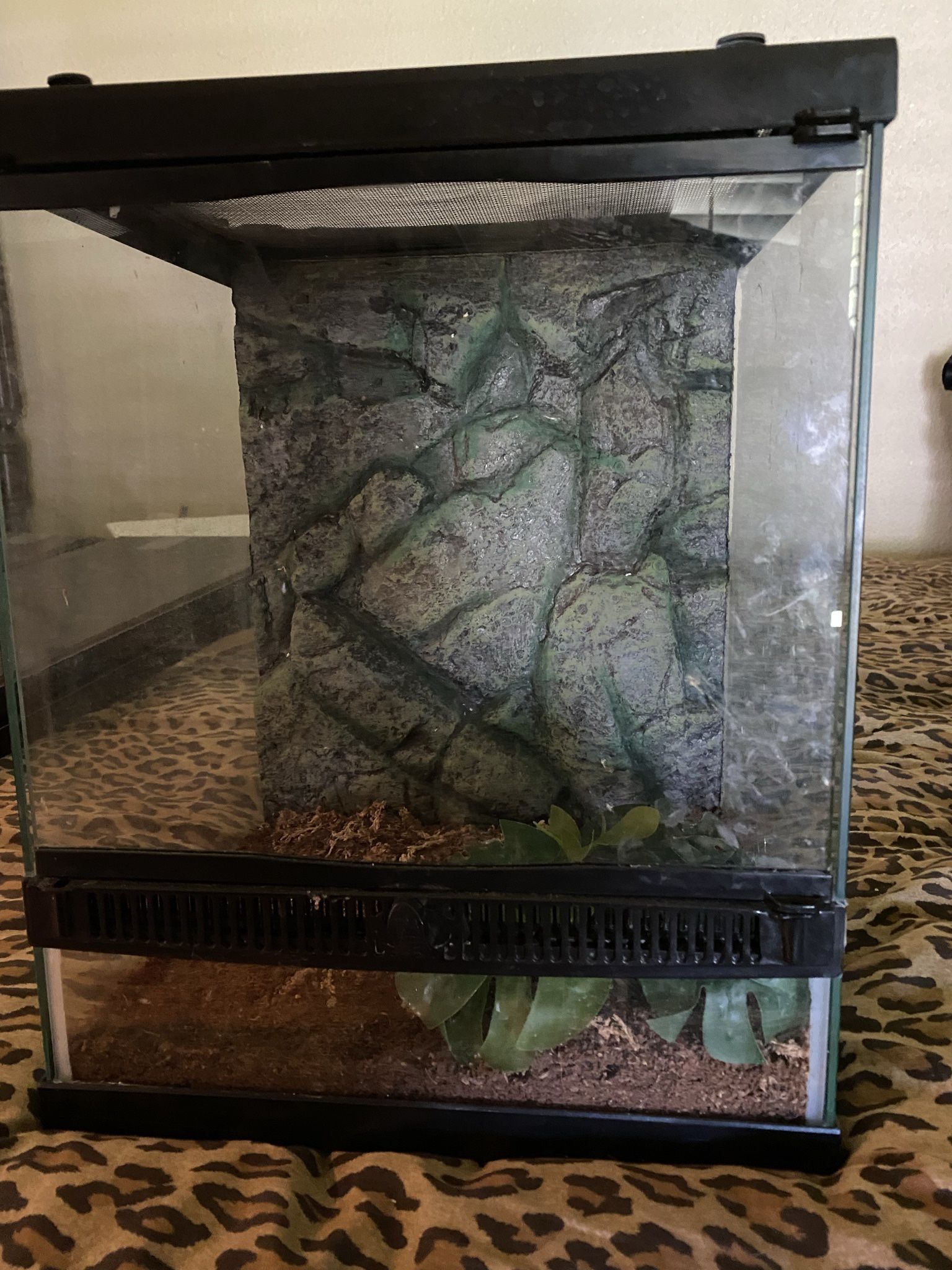 Reptile Tank