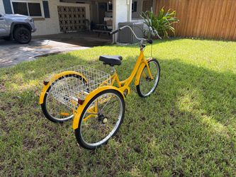 Yellow Adult Tricycle with Rear Basket