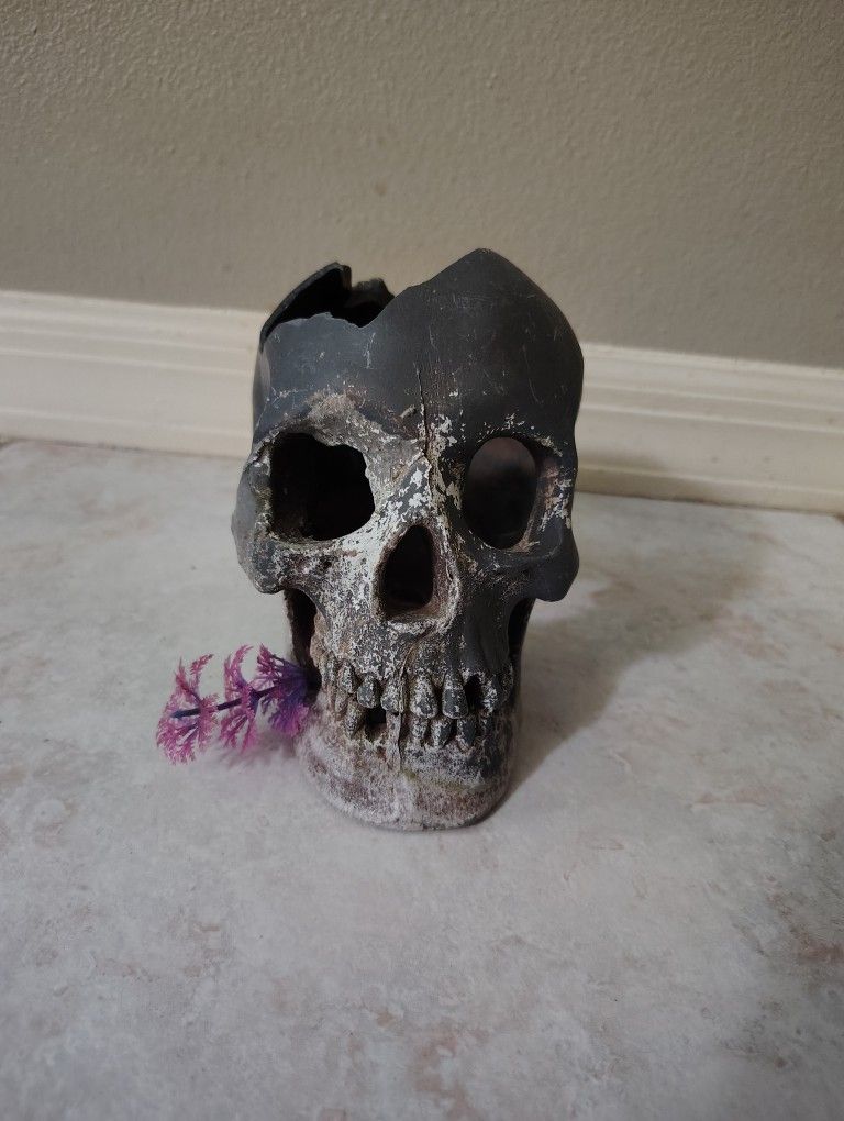 Skull Decor