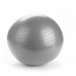 Exercise Ball with Air Pump