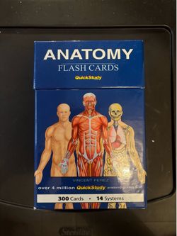 Anatomy Flashcards