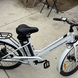 Electric Bike 