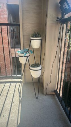 plant pots