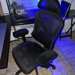 Ergonomic Chair 