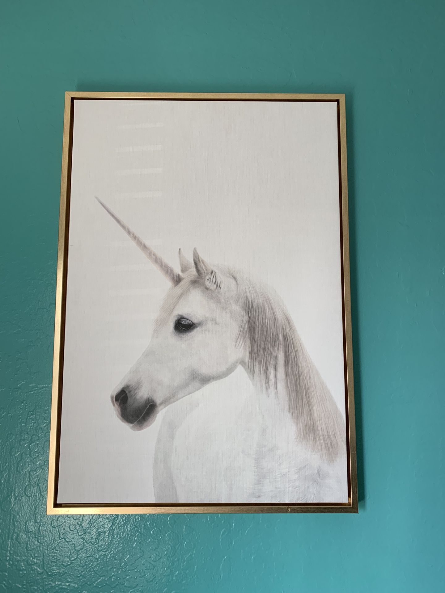 Unicorn photo