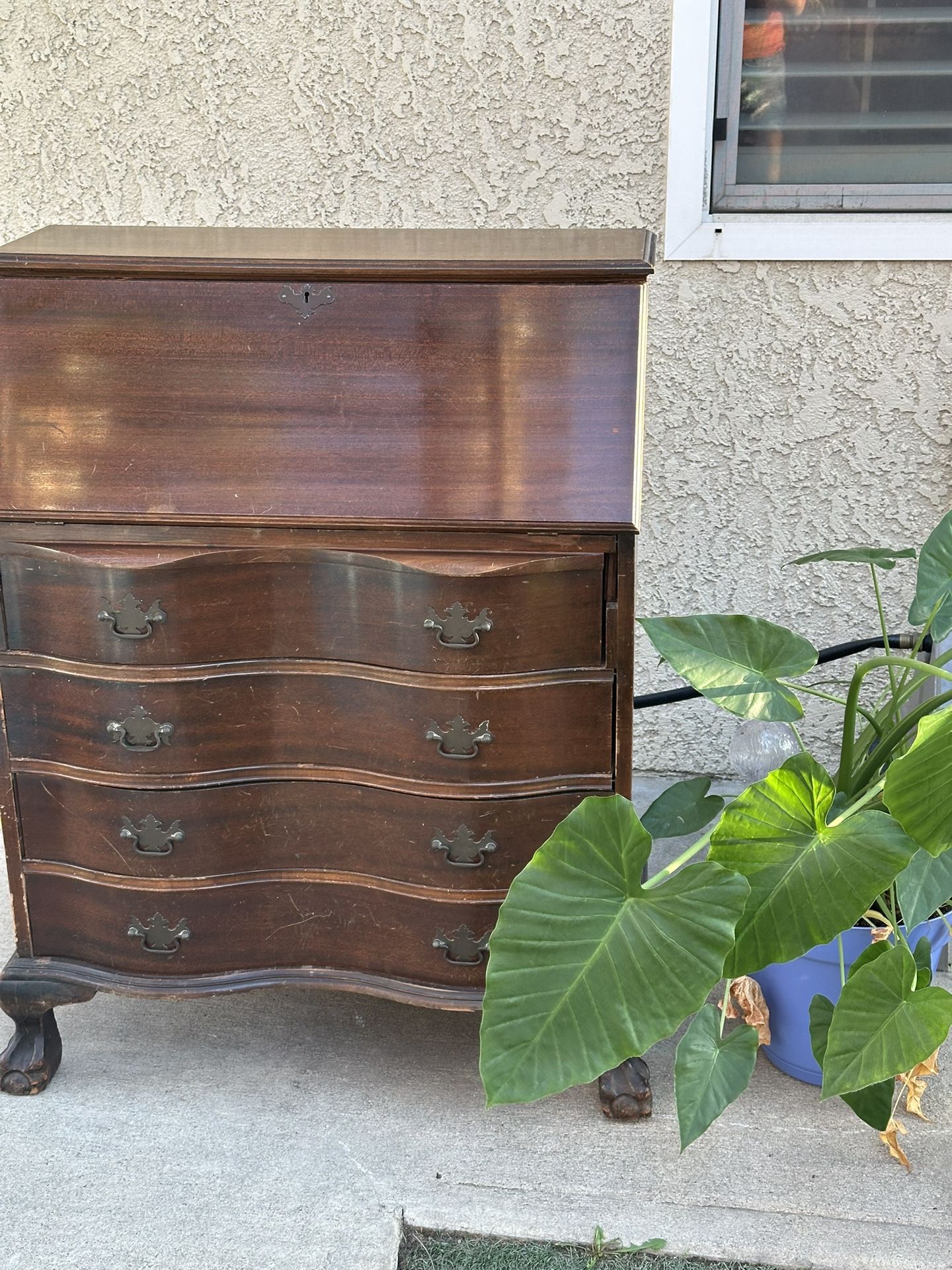 Vintage Mahogany Secretary Desk – 40”H x 31.5”W x 16.5”D – Serpentine Front, Claw Feet/Escritorio Vintage de Caoba – 40”H x 31.5”W x 16.5”D – Frente O