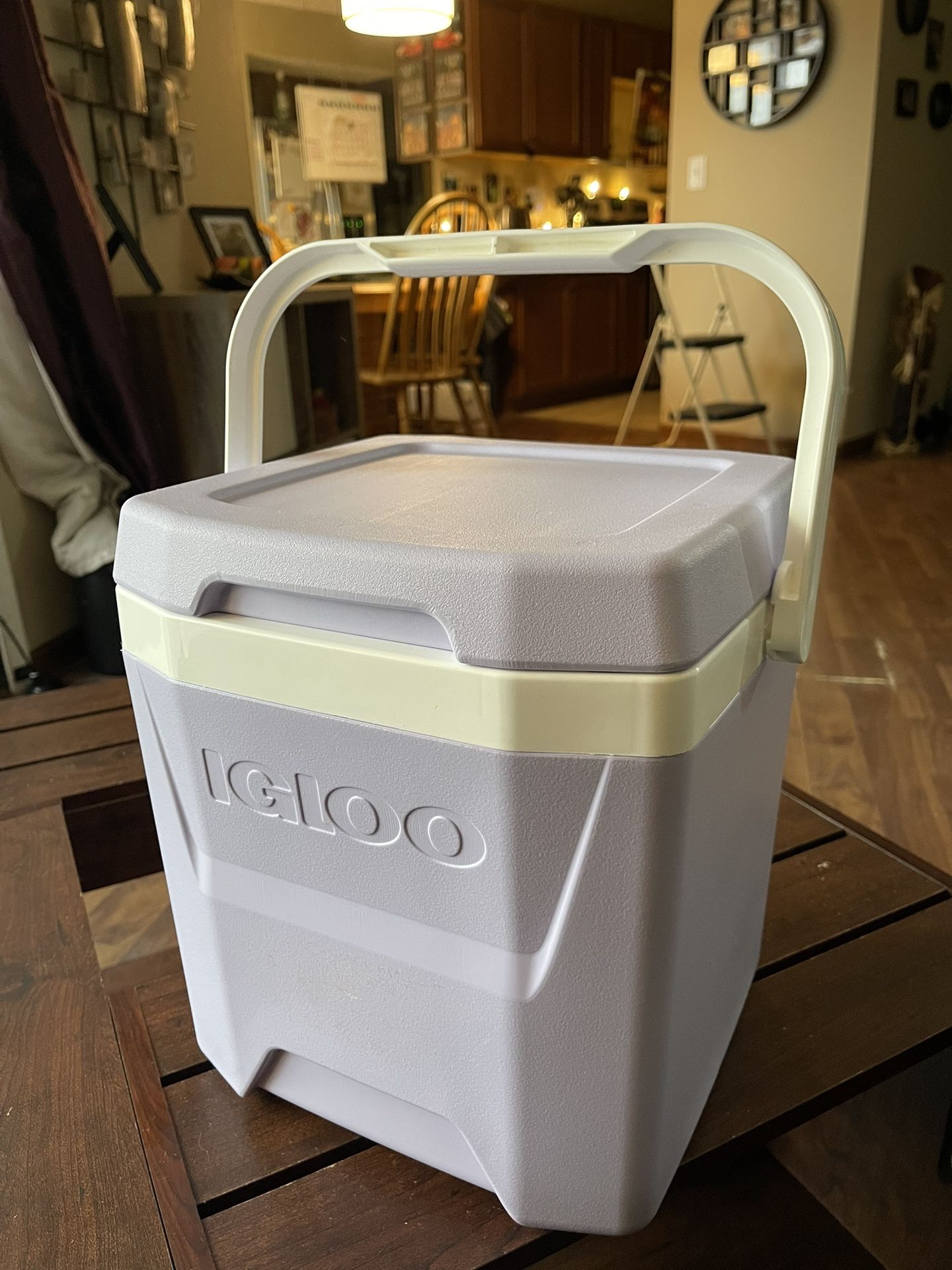 Lavender Igloo 12qt Cooler