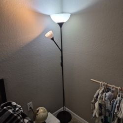 2x 6 Foot Dual Head Lamp