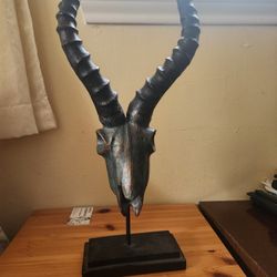 Springbok Skull