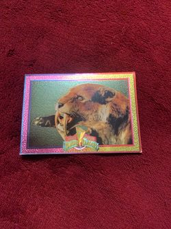 1994 power ranger saber tooth tiger trading card