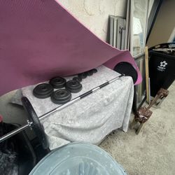 Barbell + 45pounds of Weight 