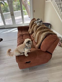 Giant dog bed