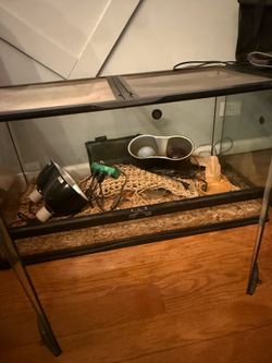 75 gallon tank with everything included